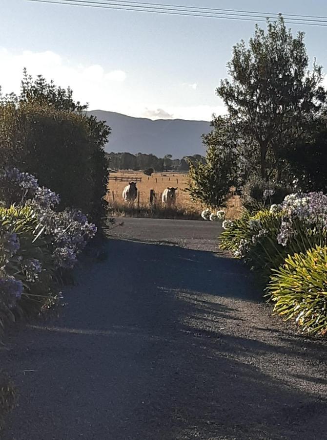 Bed and Breakfast 15 On Wards Greytown Exterior foto
